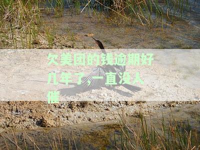 欠美团的钱逾期好几年了,一直没人催款，会怎么样？