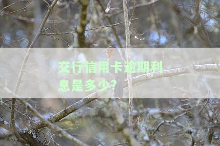 交通银行逾期利息怎么计算及费用计算方法