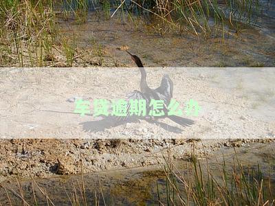 易鑫中原银行车贷逾期怎么办，中原银行车e贷怎么样，中原银行车贷几天能审批