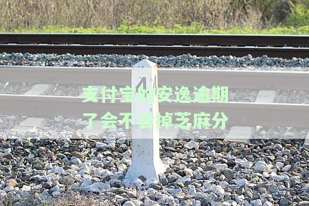 支付宝的安逸逾期了会不会掉芝麻分