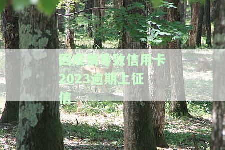 因疫情导致信用卡2023逾期上征信怎么办？