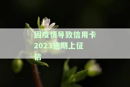 2020年因为疫情信用卡逾期怎么办