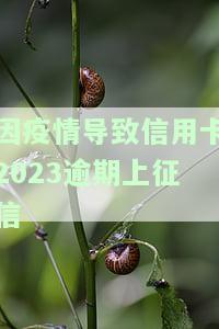 因疫情影响信用卡逾期会被起诉吗及应对方法