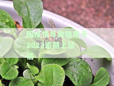 疫情期信用卡逾期,确实还不起,有影响吗怎么办