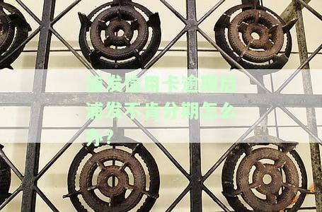 浦发信用卡逾期后浦发不肯分期怎么办