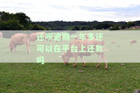 有还呗逾期一年金额达1万以上被起诉吗，欠还呗一万多块钱逾期三年了怎么办？