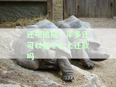 还呗一年多没还了怎么办？长度不能大于70个字节
