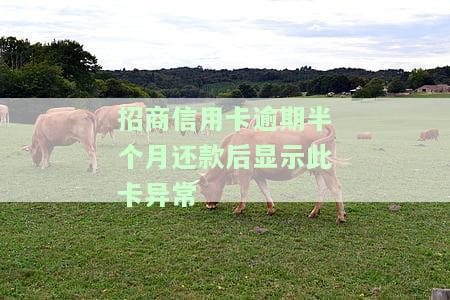 招商信用卡逾期半个月还款后显示此卡异常