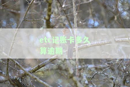 etc记账卡最多久还款及逾期扣款周期