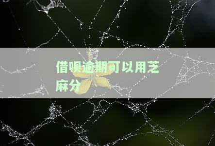 借呗逾期可以用芝麻分