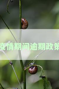 疫情期间逾期政策是哪号文件规定的及如何处理