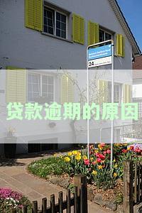 贷款逾期的原因是什么