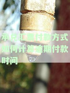 承兑汇票逾期提示付款说明及后果