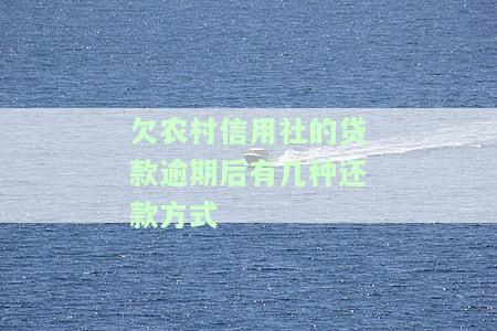 欠农村信用社的贷款逾期后有几种还款方式及后果