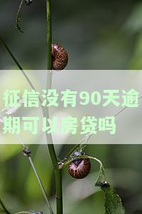 征信报告没有90天以上的逾期能买房吗及处理方式