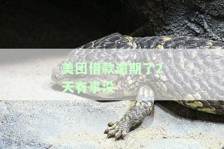 美团借款逾期了2天有事没事吧，怎么办？
