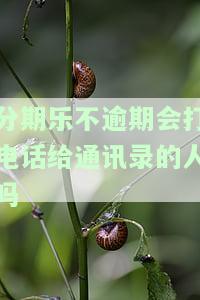 分期乐不还会打电话给家里人吗安全吗？