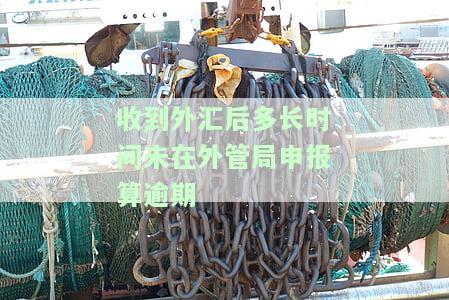 收到外汇后多久可以在系统申报及相关业务申报时间