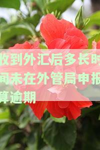 收到外汇后多久需要出货证明及申报期限
