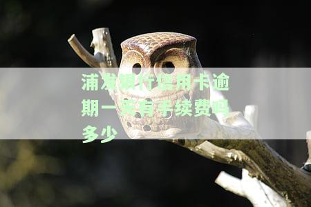 浦发银行信用卡逾期一天的手续费和利息费率是多少？逾期一天对信用卡有什么影响？