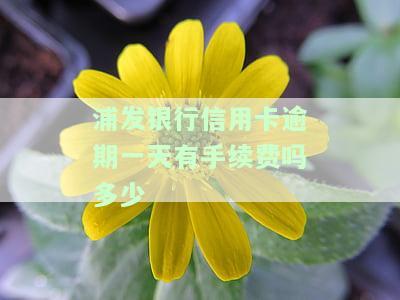浦发银行信用卡逾期一天对征信和贷款有影响吗？还能刷出来吗？