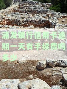 浦发银行信用卡逾期一天有手续费吗多少