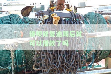 借呗逾期后修复就停用了，怎么办？