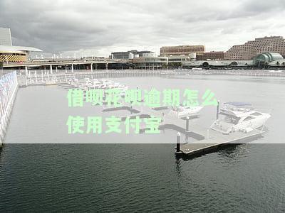 借呗逾期了怎么还花呗才不被借呗扣掉，借呗逾期后怎么还，花呗怎么还不能用，借呗还清了花呗可以用吗