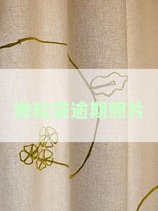 微粒贷逾期短信图片真实大全