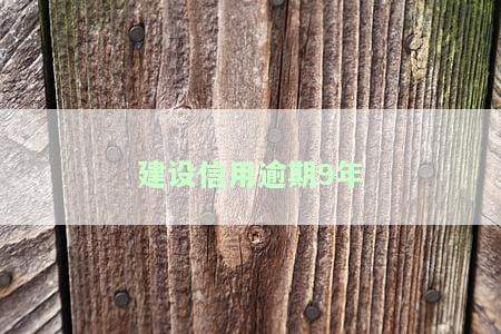 建设银行信用卡逾期还款政策及影响分析