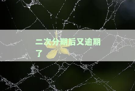 二次分期还不上怎么办及协商逾期