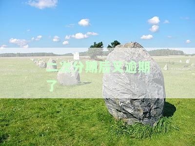 二次分期后又逾期了