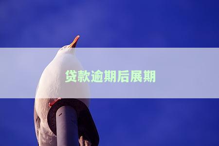 贷款逾期后展期还款的影响及处理方式