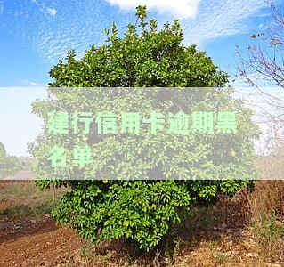 建行黑名单多久消除一次，是否永久