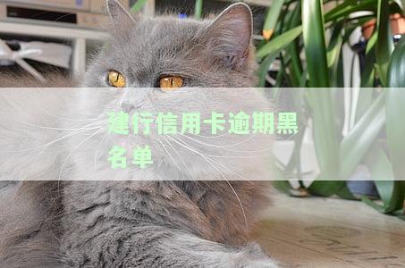 建设银行黑名单会影响别的银行吗？