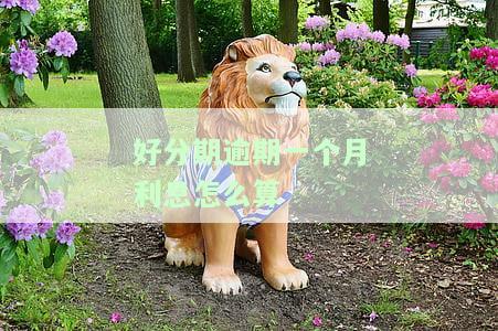 逾期一个星期还了什么时候能借