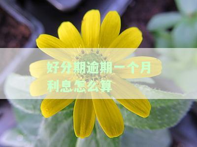 已经逾期了一个月还没有还会怎么样，逾期一次还款后借不出来了，多久能恢复？
