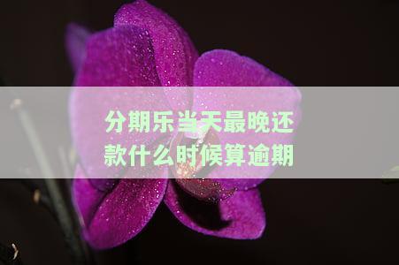 分期乐当天最晚几点还款