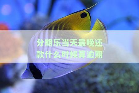 分期乐还款最几点及归还时限