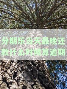 分期乐还款日当天还算逾期吗