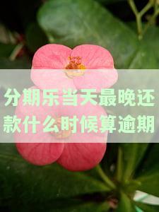 分期乐还款日当天借款什么时候还款，是否算逾期，还款时间点