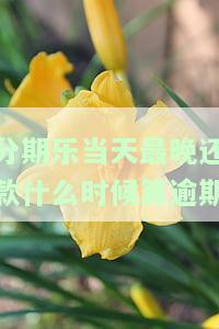 分期乐当天最晚还款什么时候算逾期