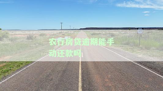 农行房贷逾期还款一天怎样主动还款及影响信誉