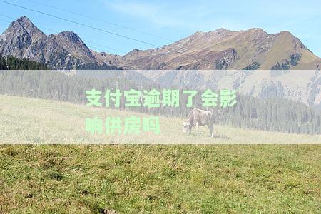 支付宝逾期了会影响供房吗现在还能用吗，怎么办？