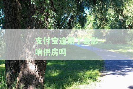 支付宝逾期会影响还房贷吗