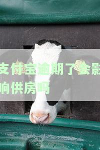 支付宝逾期会影响买房子的银行贷款吗