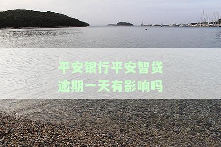 平安智贷晚一天还款会影响征信吗及应对措