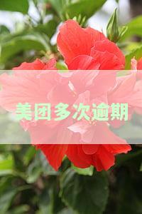 美团多次逾期后要求一次性付清是真的吗？