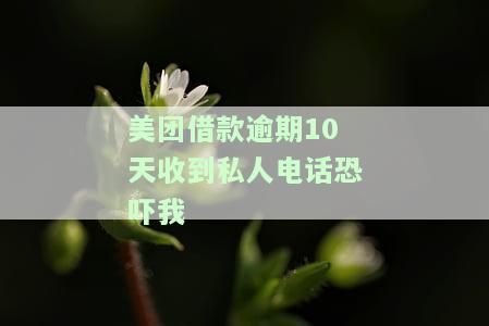 美团借款逾期五天,打电话威胁人,这个会怎么办