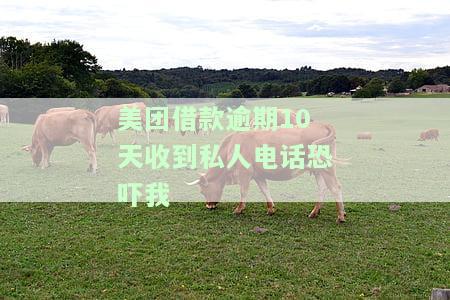 美团借款逾期10天收到私人电话恐吓我